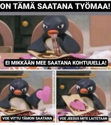 pingu.jpg