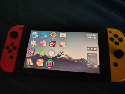 switchroot.jpg