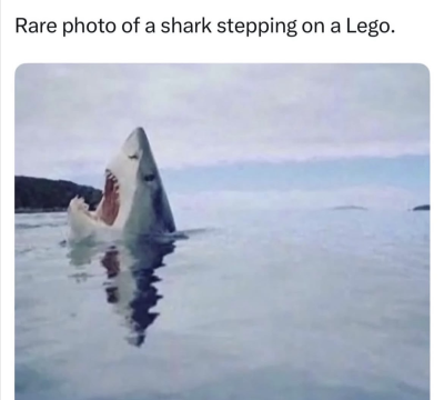 IMG_4953.png